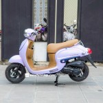 XE GA 50CC GIORNO GOLDEN