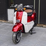 XE GA 50CC CREA SADOKA