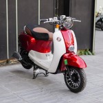 XE GA 50CC CREA SADOKA