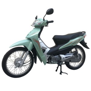 XE MÁY DIBAO RS 50CC