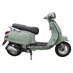 XE GA 50CC DIBAO PANSY XS1 2024