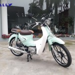 XE CUB ALLY LE 50CC