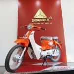 XE CUB NEW SE 50CC 2022