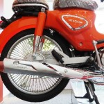 XE CUB NEW SE 50CC 2022