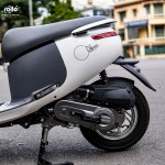 XE GA 50CC DIBAO GOFAST