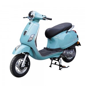 XE GA 50CC DIBAO PANSY XS 2022