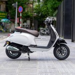 XE GA 50CC NIOSHIMA PLUS 2022