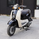 XE GA 50CC DIBAO CREER