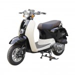 XE GA 50CC DIBAO CREER