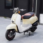 XE GA 50CC CREA VINSKY 2022