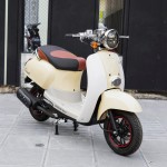 XE GA 50CC CREA VINSKY 2022