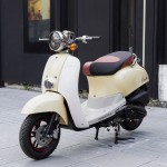 XE GA 50CC CREA VINSKY 2022