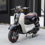 XE GA 50CC CREA VINSKY 2022