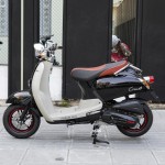 XE GA 50CC CREA VINSKY 2022