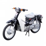 XE CUB 50CC ROLLO NEW 2022