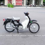 XE CUB 50CC ROLLO NEW 2022