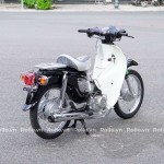 XE CUB 50CC ROLLO NEW 2022