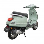 XE GA 50CC DIBAO PANSY XS1 2024