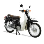 XE CUB NEW 50CC