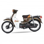 XE CUB 81 HYOSUNG 2020