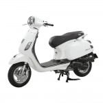 XE GA 50CC DIBAO PANSY X