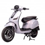 XE GA 50CC CANELY S 2024